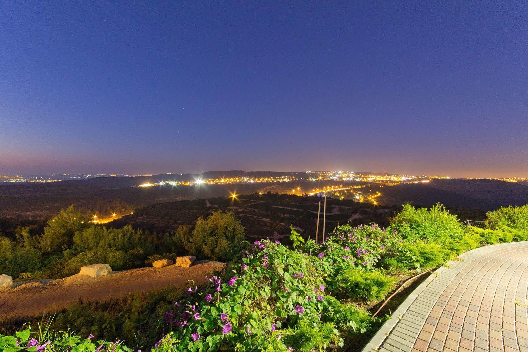Shoresh Green Hills Family Suites Hotel エクステリア 写真